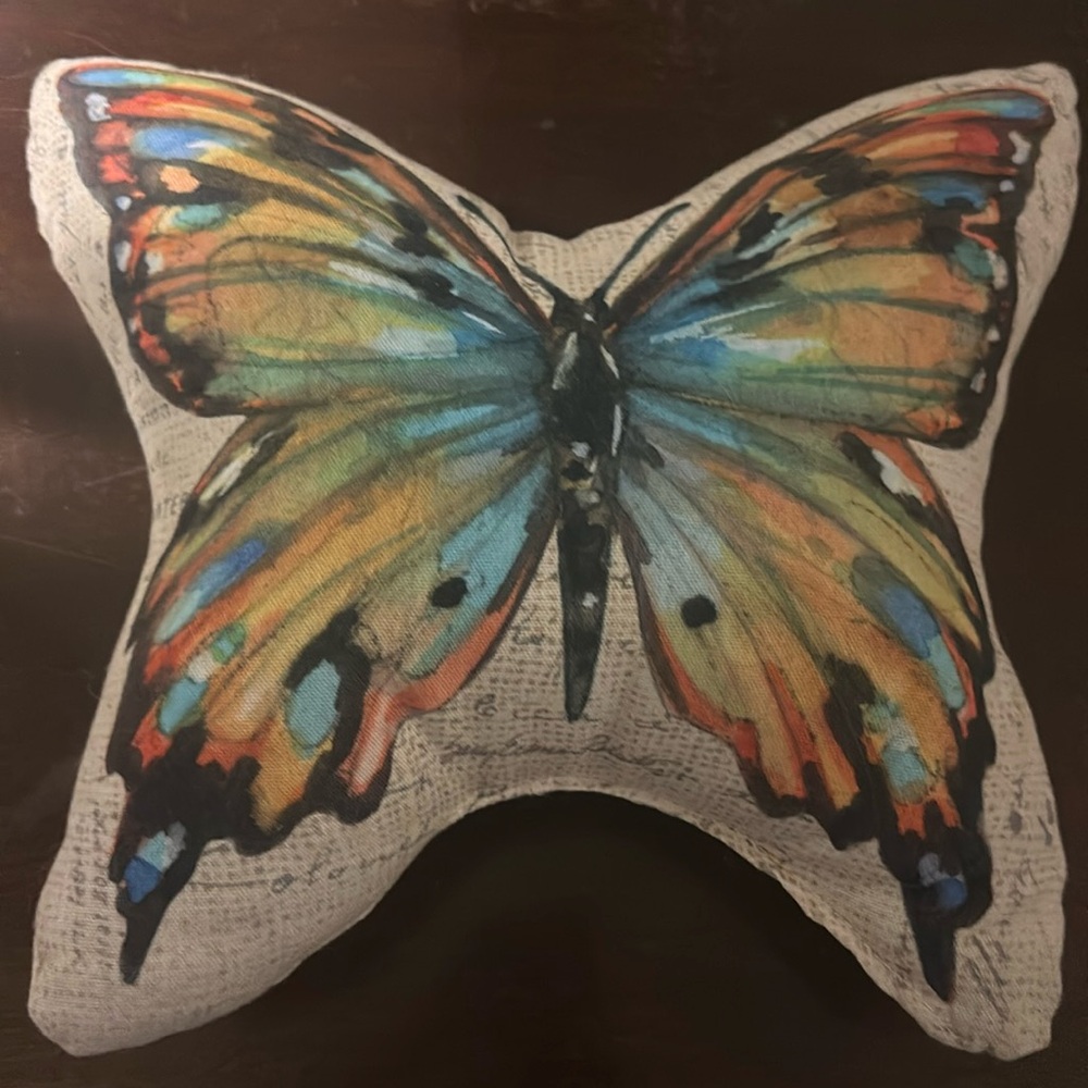 Abstract Butterfly Pillow